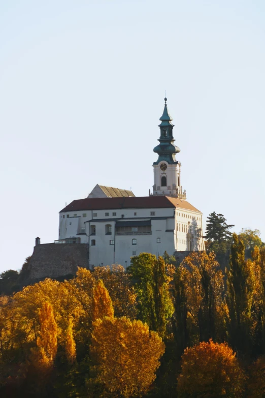 a building stands atop a hill overlooking a forest