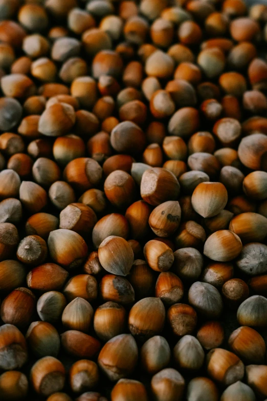 various nuts and nutshells are arranged together