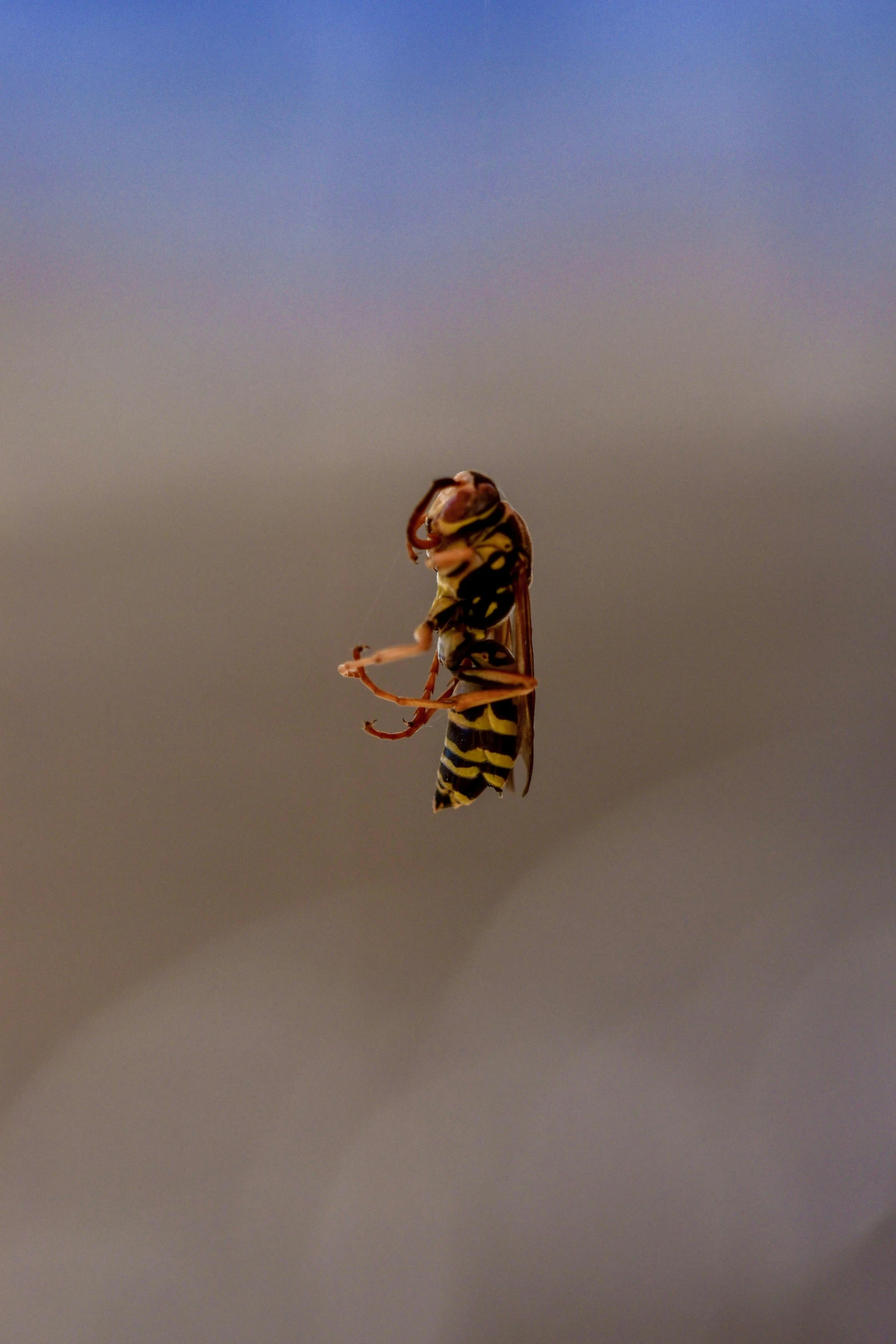 a man in yellow and black striped shirt flying a kite