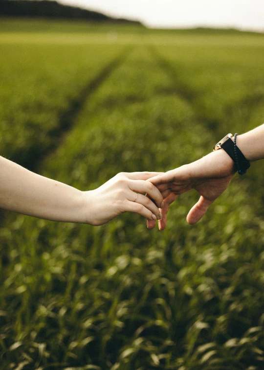 a pair of hands holding each other in a field