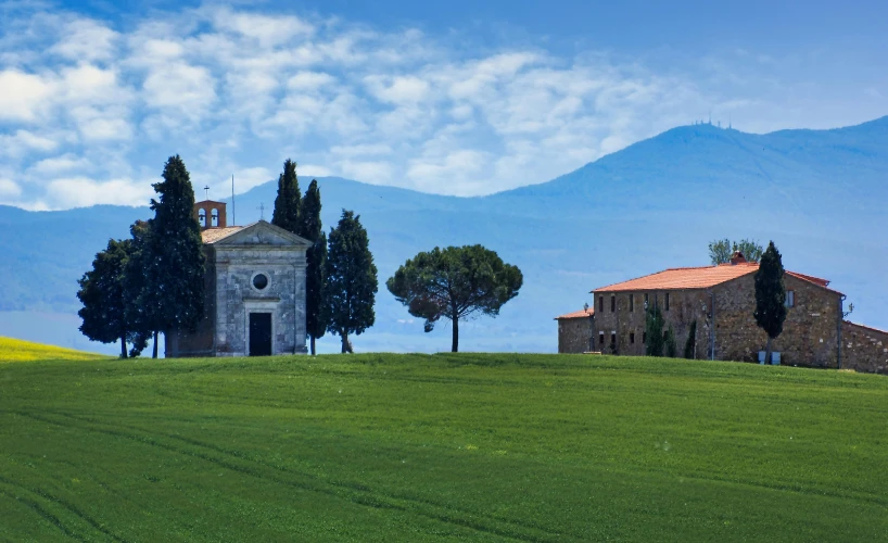 trees on the green grassy field in front of an old building