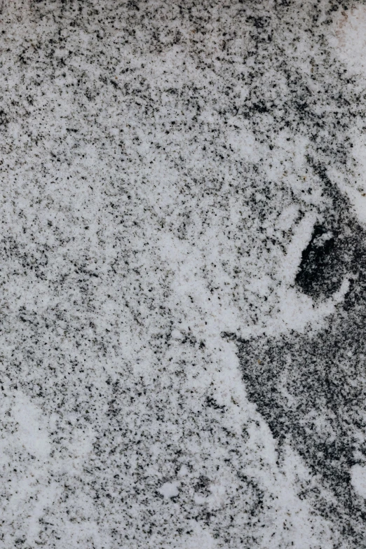 a granite texture is seen in black and white