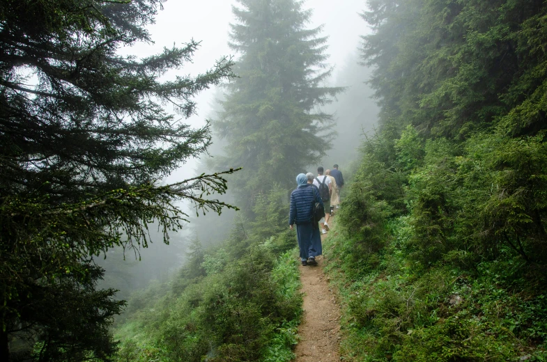 two people walking down a trail between green forest