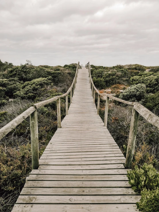 a walkway with wooden posts stretching out into the distance