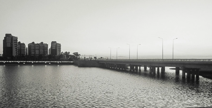 a black and white po of an urban bridge