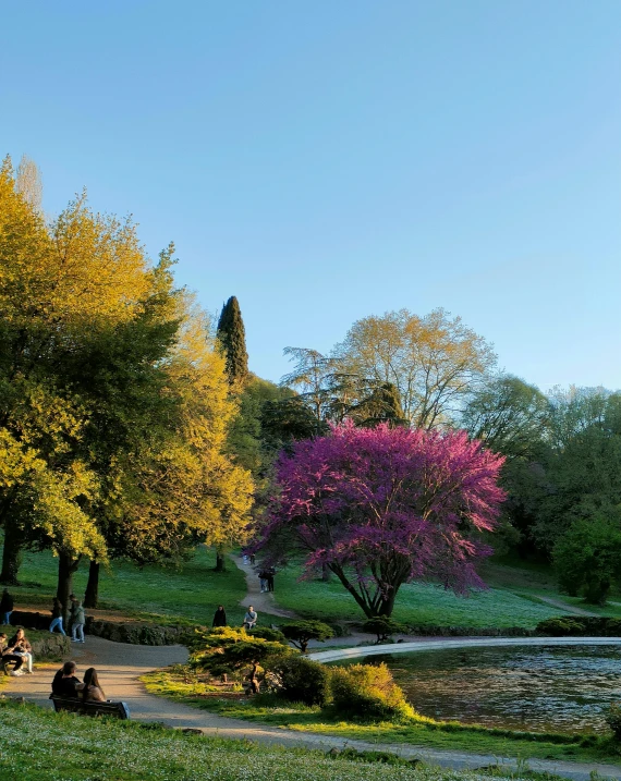 a man on a bench looking at some water in the park