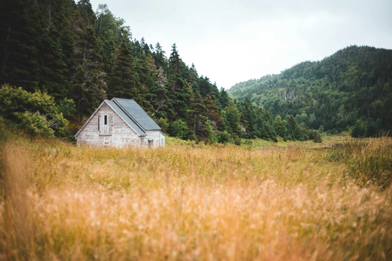 a house in the middle of a grassy field