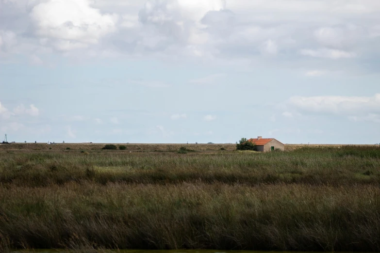 an old shack stands alone in a grassy field