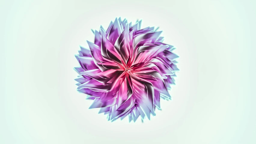 a pograph of an abstract flower with blue and pink petals