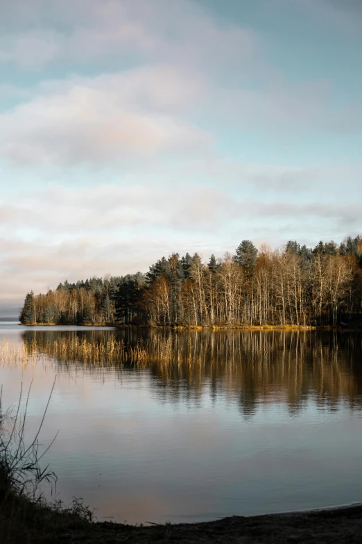 a lake with trees along the water