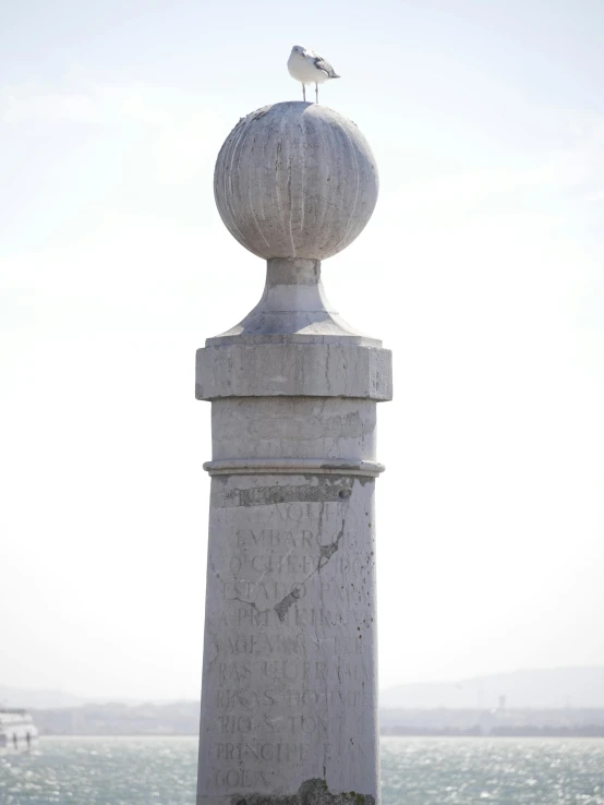 a bird perched atop an ornamental pillar near water