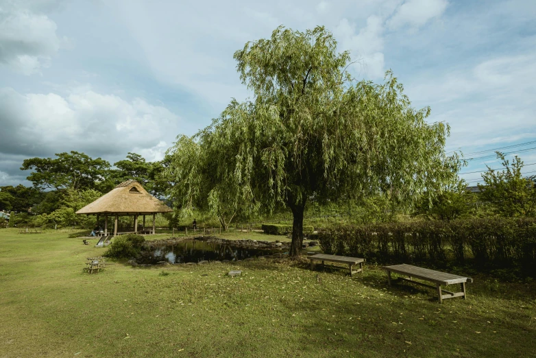 a grassy area with a bench, tree, and thatched roof