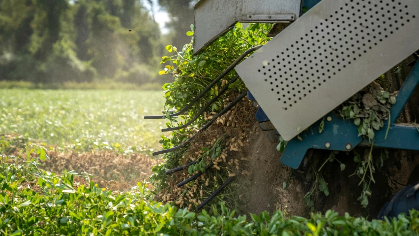 a large load of dirt with plants growing on the back