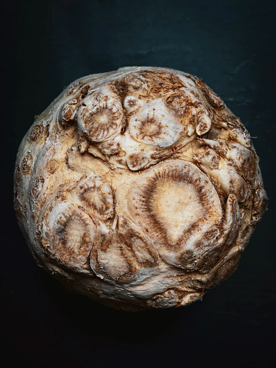 a piece of bread is partially eaten on a dark background