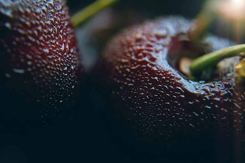 some fruit with water droplets on them sitting on the ground