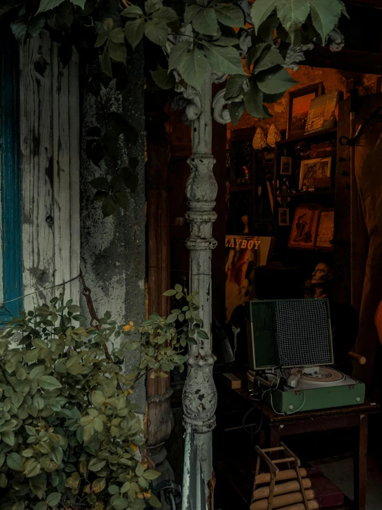 a wooden chair sitting in a porch next to a green plant