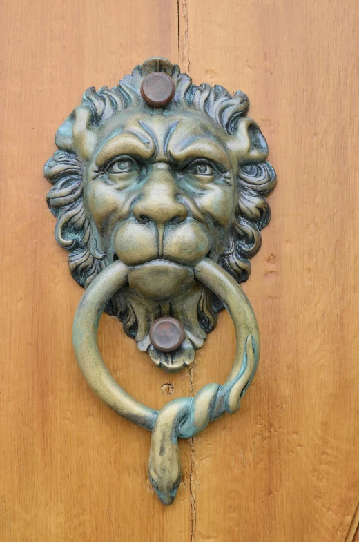 a lion door knocket with its mouth out