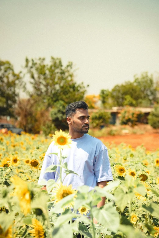 a man standing in a field full of sunflowers