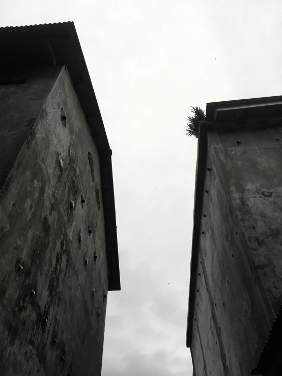 two tall building's in the distance with some trees growing from the top