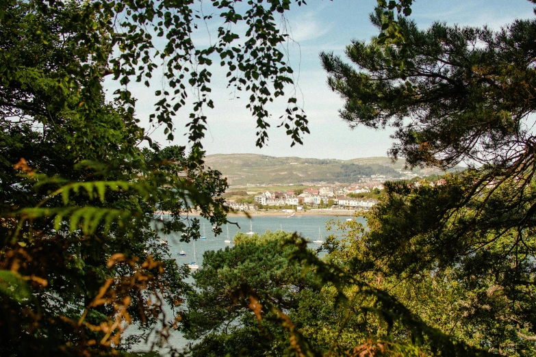 the water and trees are shown in this view