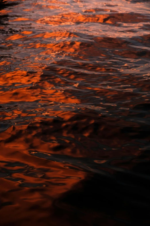 there is soing in the water at sunset