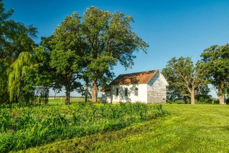 an old farm house sits amongst the trees