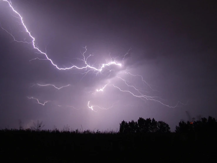 lightning and some tree tops lit by the sun