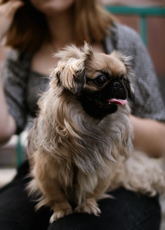 a woman is sitting down with a dog