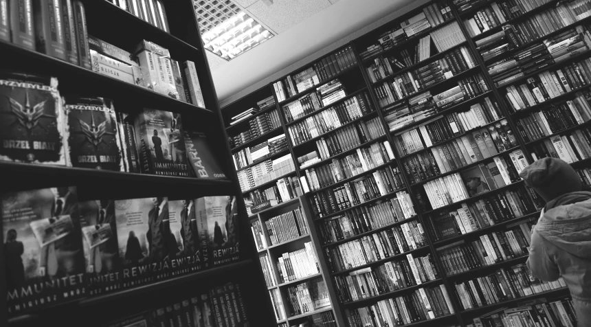 an image of bookshelves in a liry