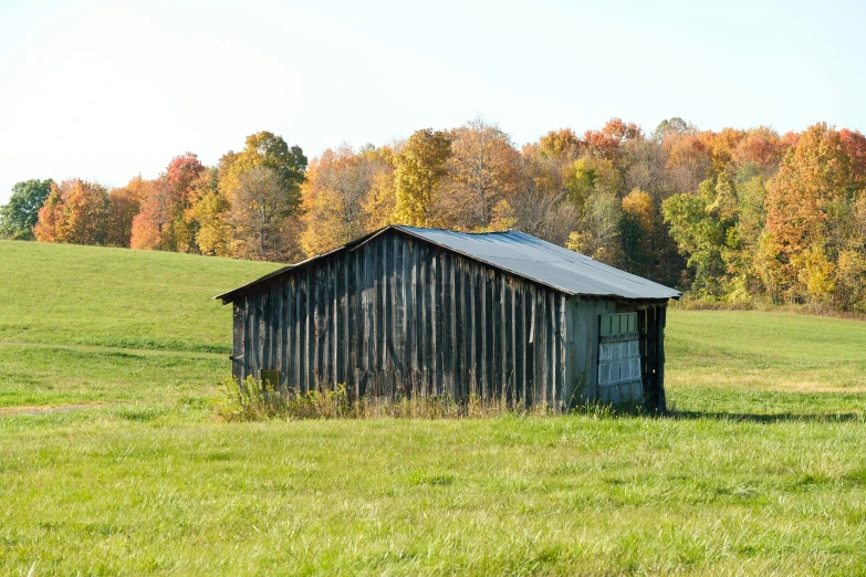 a small wooden building sitting in a field
