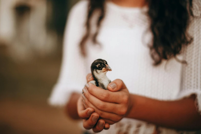 a small bird is in someones hand with a blurred background