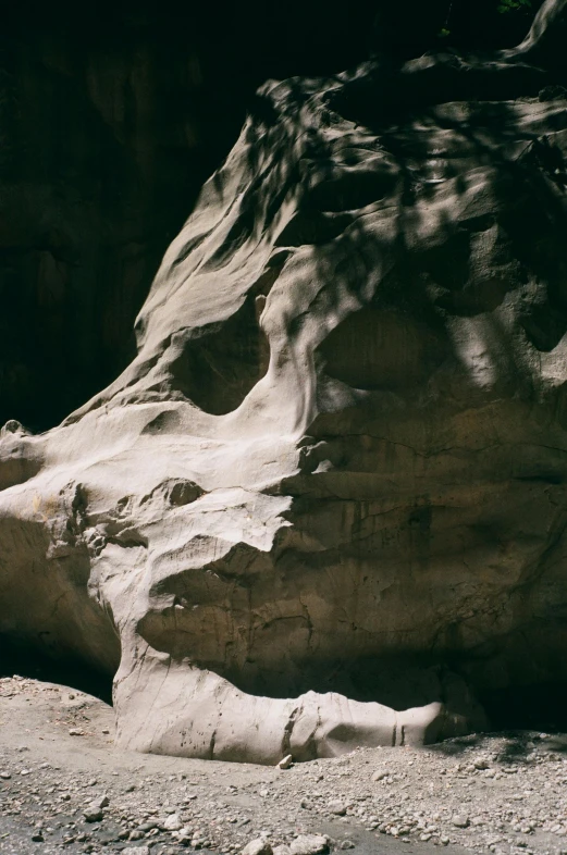 a brown bear sitting on the ground near a rock formation