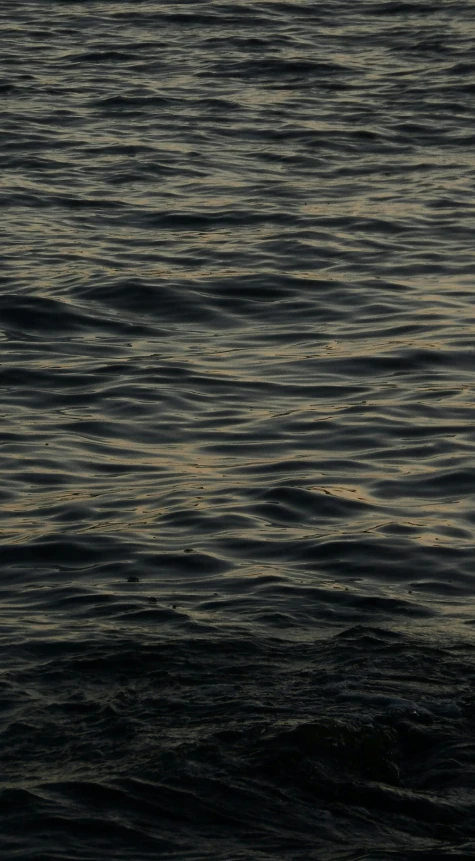 the moon is setting on the water that reflects light