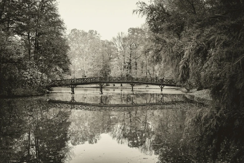 an image of a scenic scene of trees and bridge