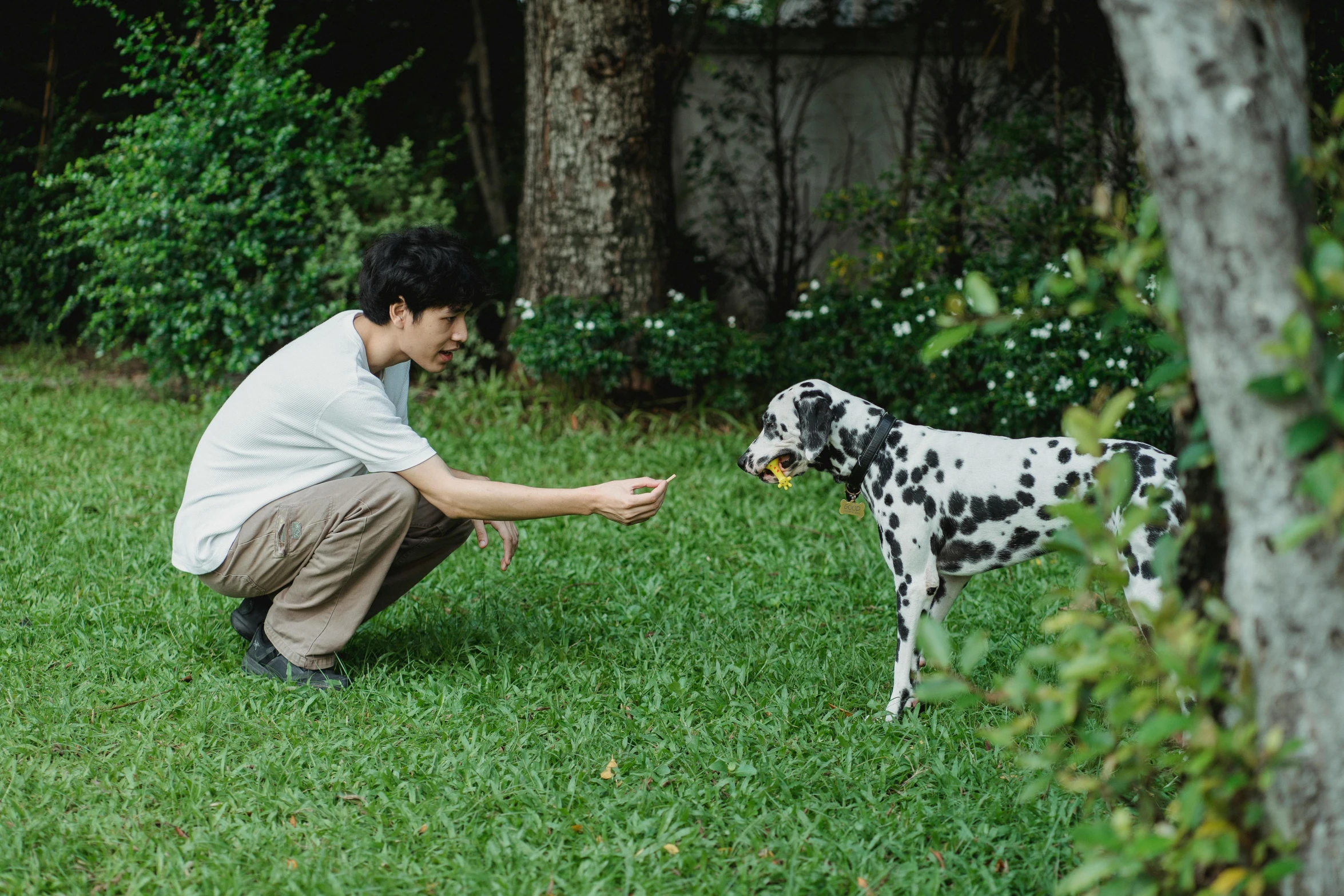 the man is giving the dog soing to feed him