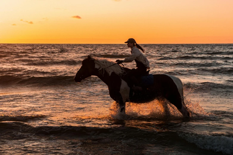 woman riding horse on the beach at sunset