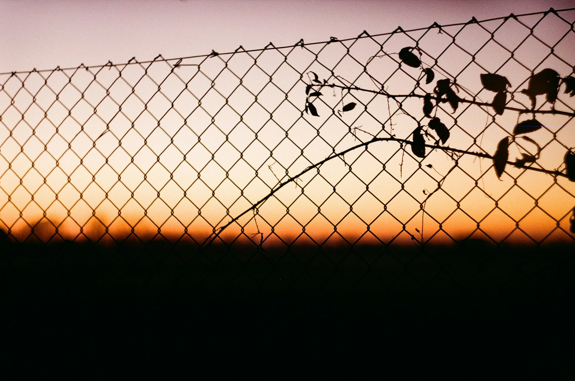 a sunset behind a fence with a bird perched on it