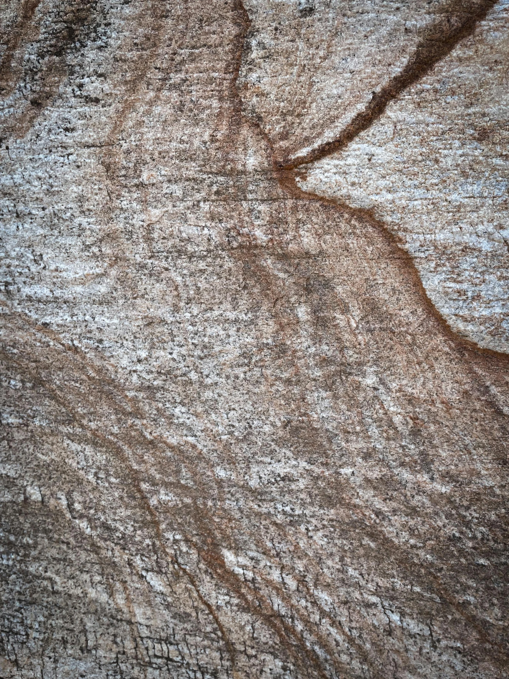 the surface of a large, brown piece of fabric with lots of lettering