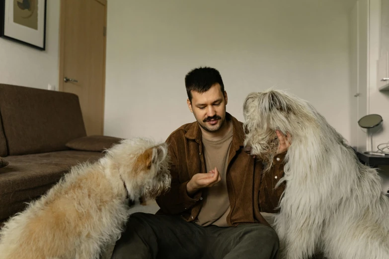 two big dogs and one is getting a treat of a guy