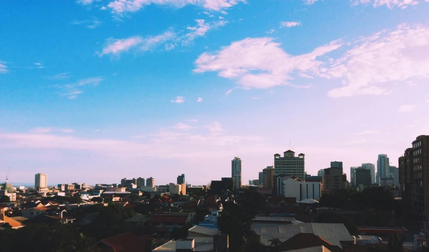 view of a city skyline from a tall building