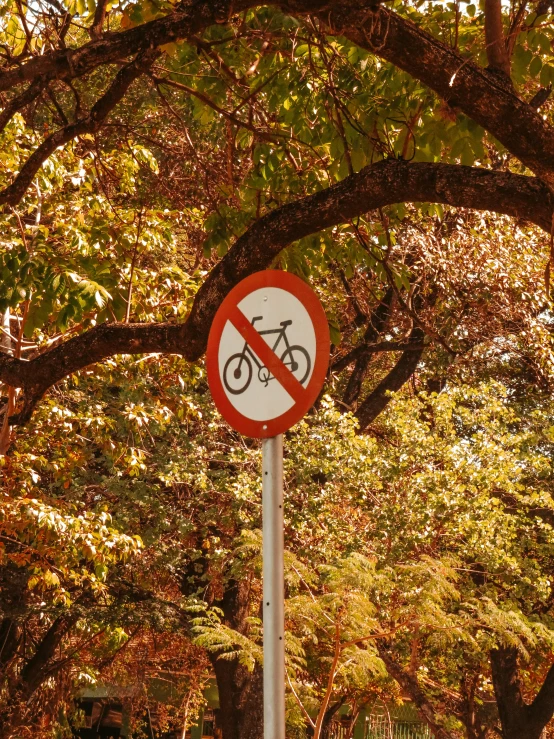 a sign in a park with a bicycle crossing