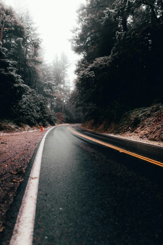 road going through dense forest during daytime in autumn