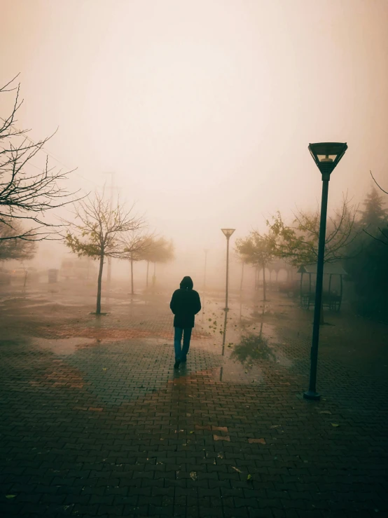 a person walking on a foggy sidewalk in the park