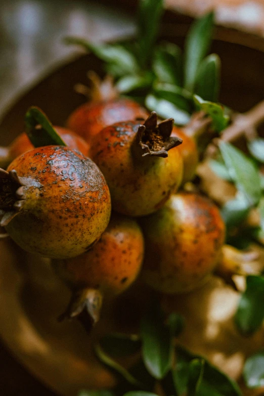 a pile of ripe fruit sits in a bowl