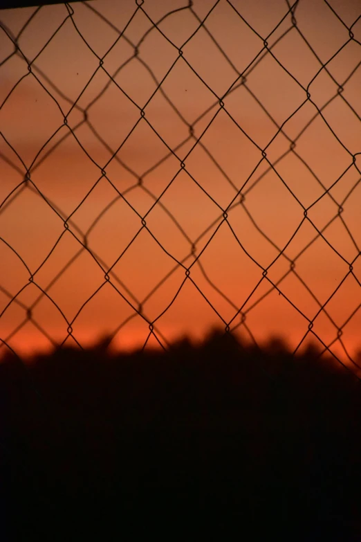 a bird sits on a rock behind a chain link fence