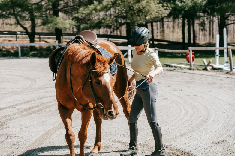 a lady with a helmet standing next to a brown horse