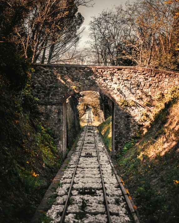 a narrow train track in a brick tunnel with trees around