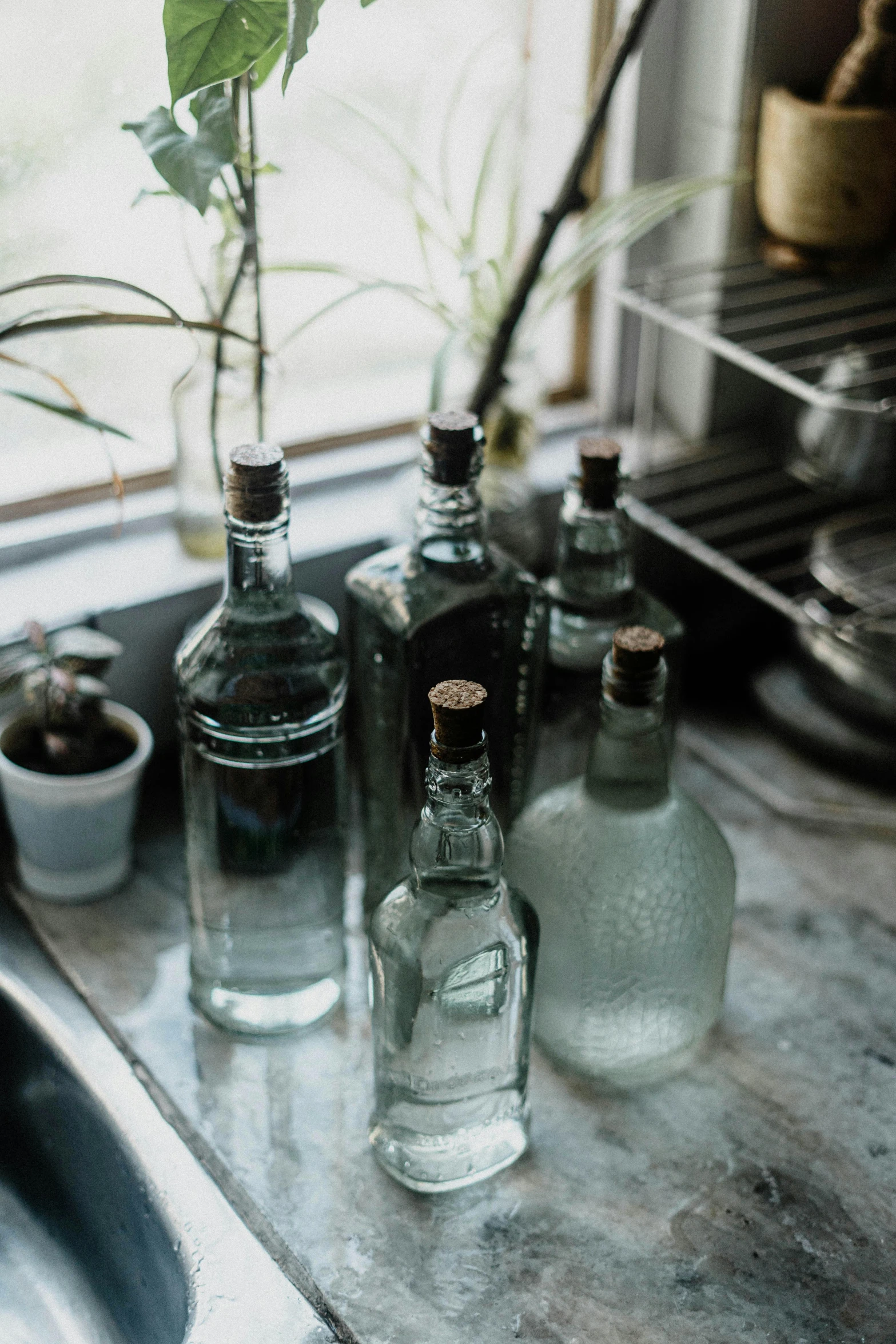 three empty bottles sitting on a counter next to a plant