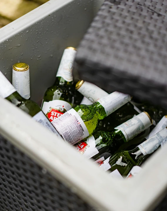 an assortment of alcohol is arranged inside a cooler