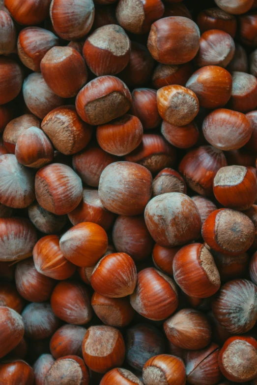 an image of nuts that are all round